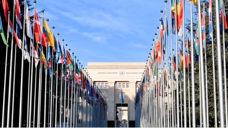 純植飲食 與 SDGs聯合國永續發展目標